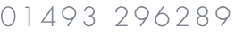 Telephone 01493 701124